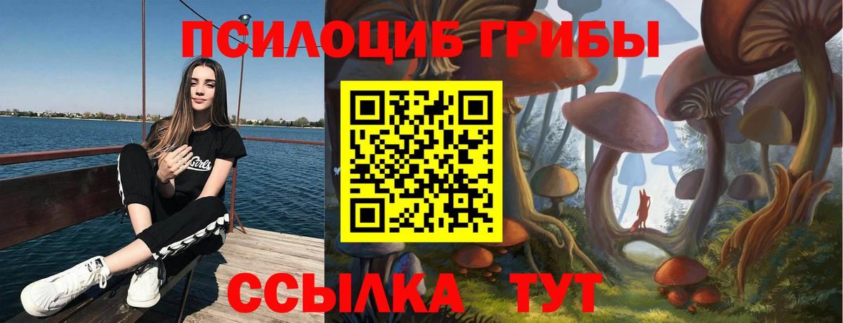 Людиново  Псилоцибиновые грибы MAGIC MUSHROOMS  Галлюциногенные грибы Psilocybe  Вход с VPN 
